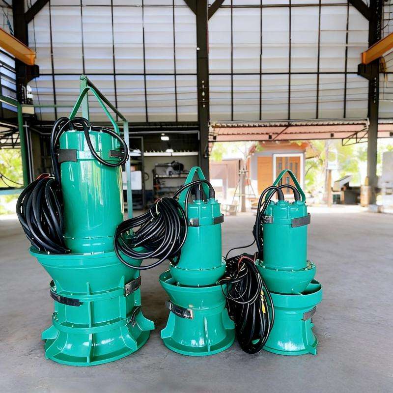 Axial Flow Pump